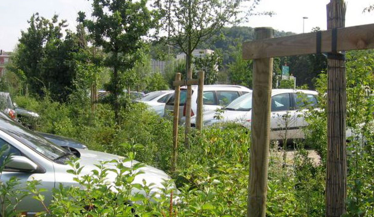woodland-parking
